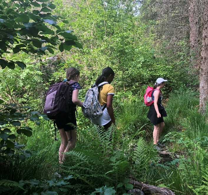 nationalparkschule-cnr-realschule-buehl_2