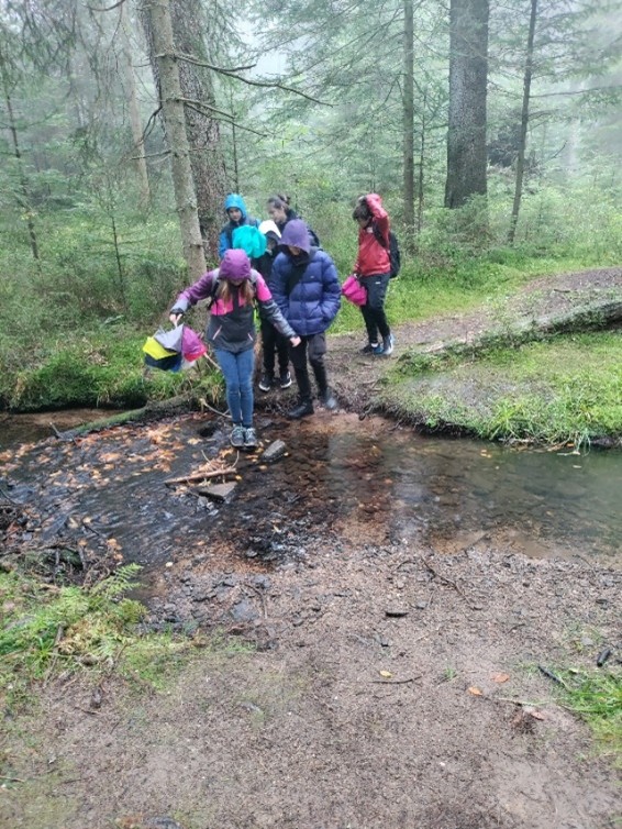 nationalparkschule-cnr-realschule-buehl_6