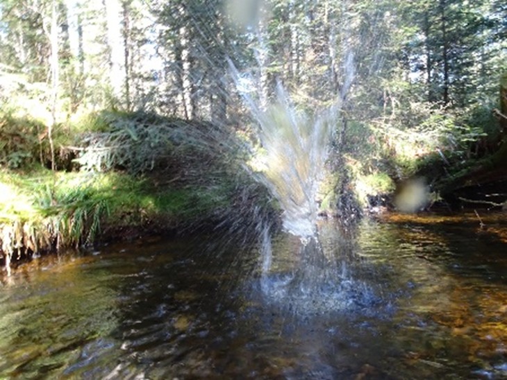 nationalparkschule-cnr-realschule-buehl_7